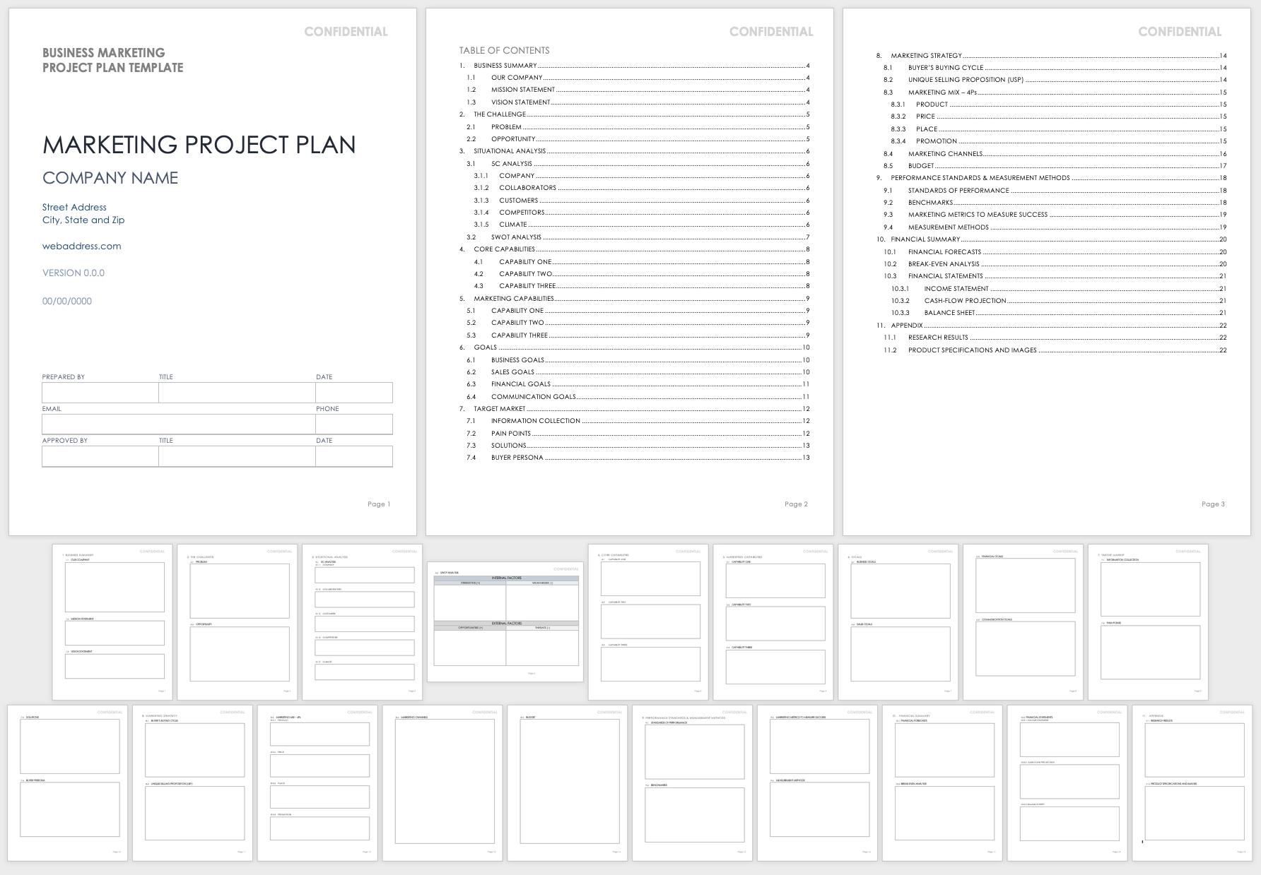 Business Marketing Project Plan Template