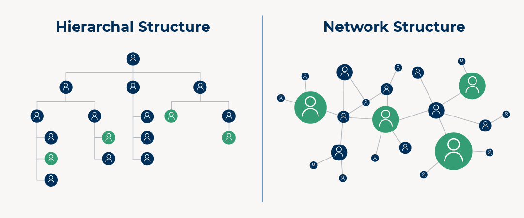 Example of hierarchical structure vs. network structure