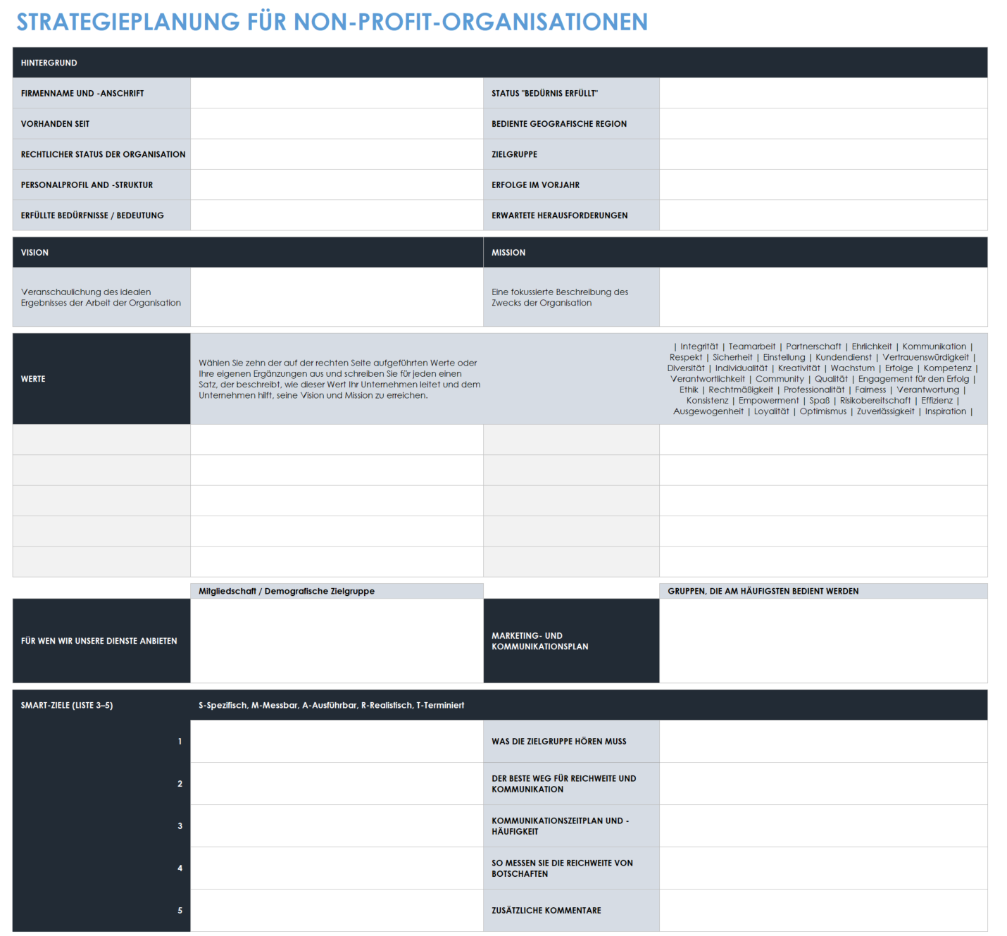 Vorlage für einen gemeinnützigen Strategieplan