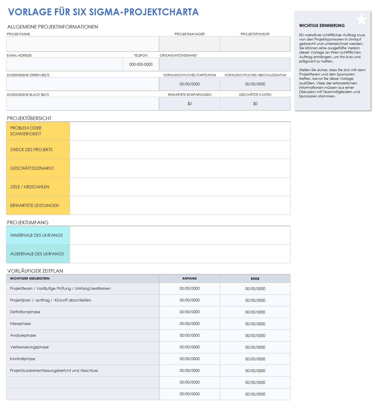  Leere Vorlage für eine Six-Sigma-Projektcharta