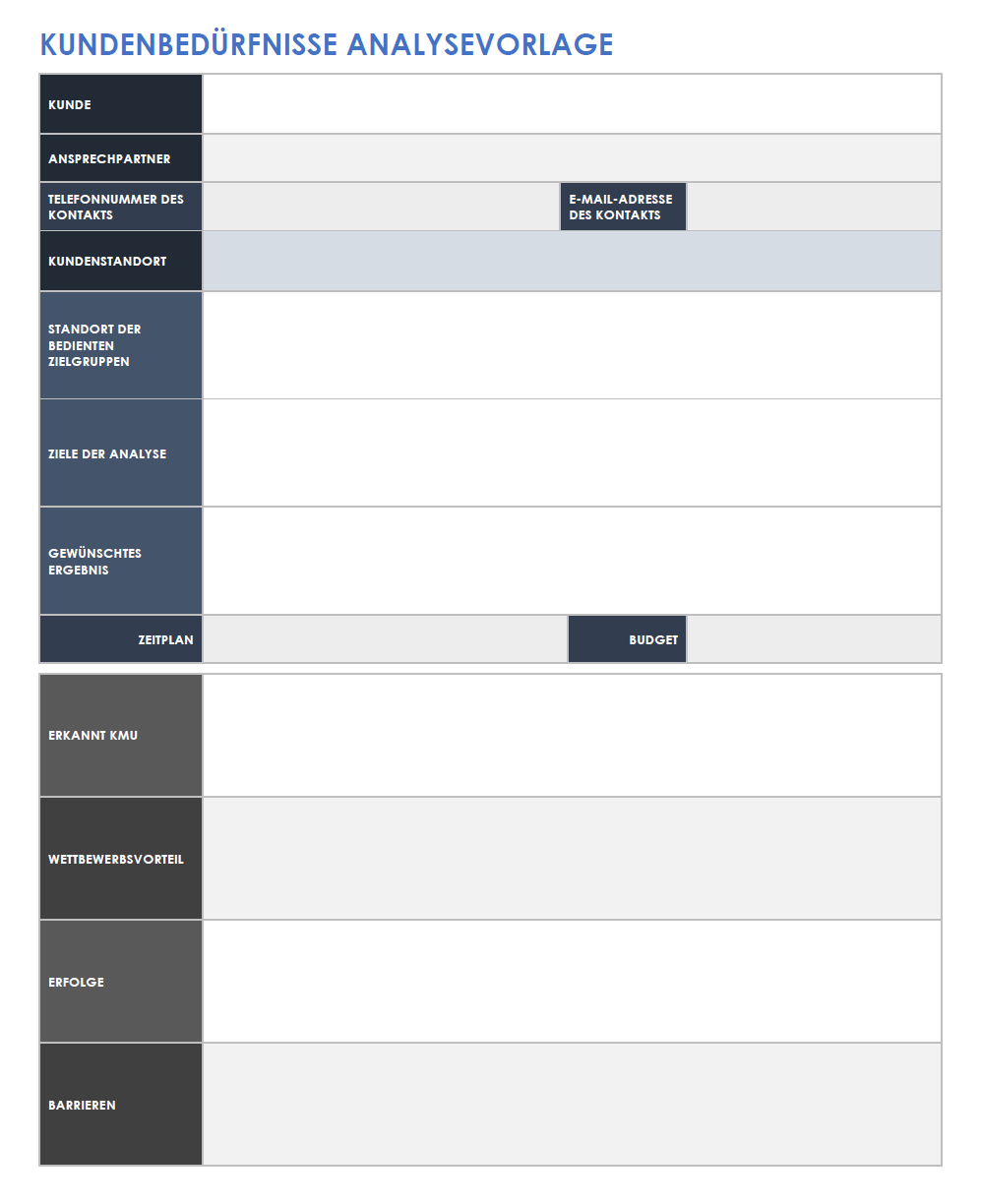 Vorlage für die Kunden- oder Kundenbedarfsanalyse