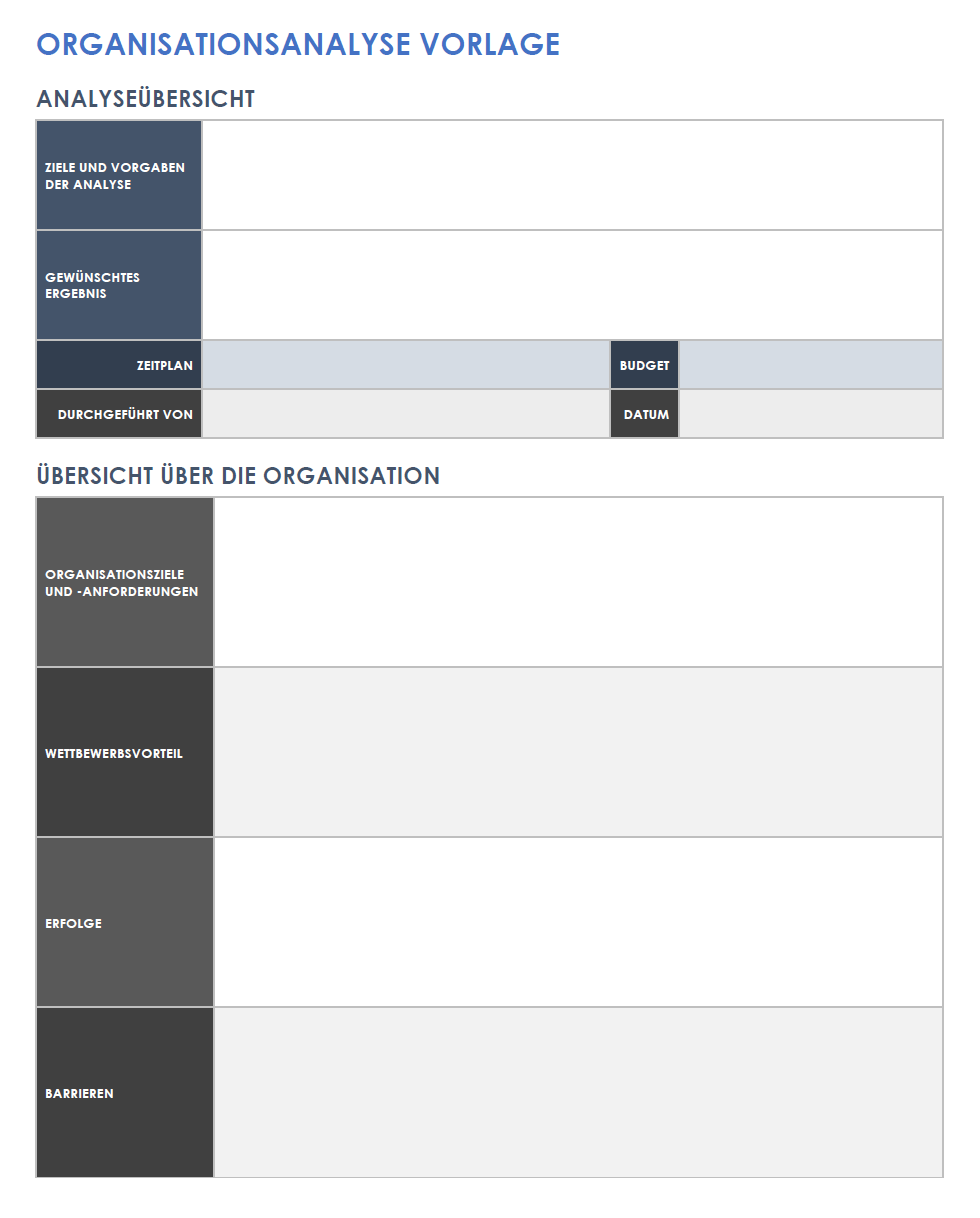  Vorlage für eine Organisationsanalyse