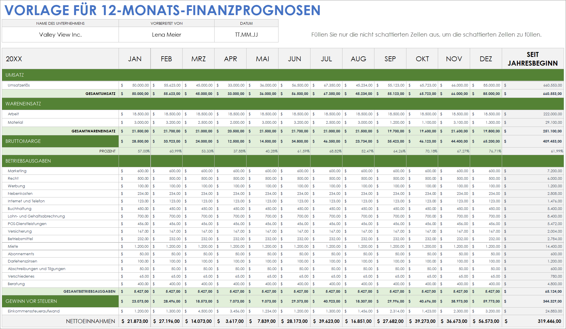  Vorlage für 12-monatige Finanzprognosen