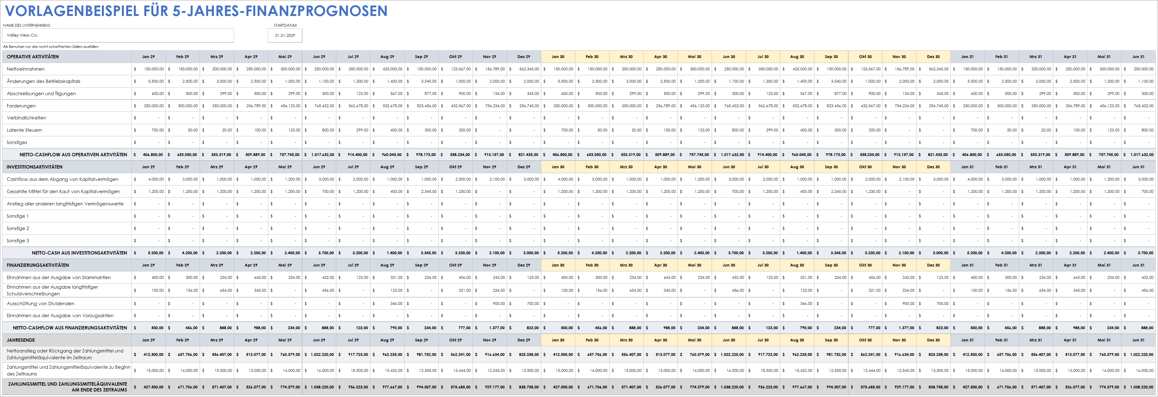  5-Jahres-Finanzprognosevorlage