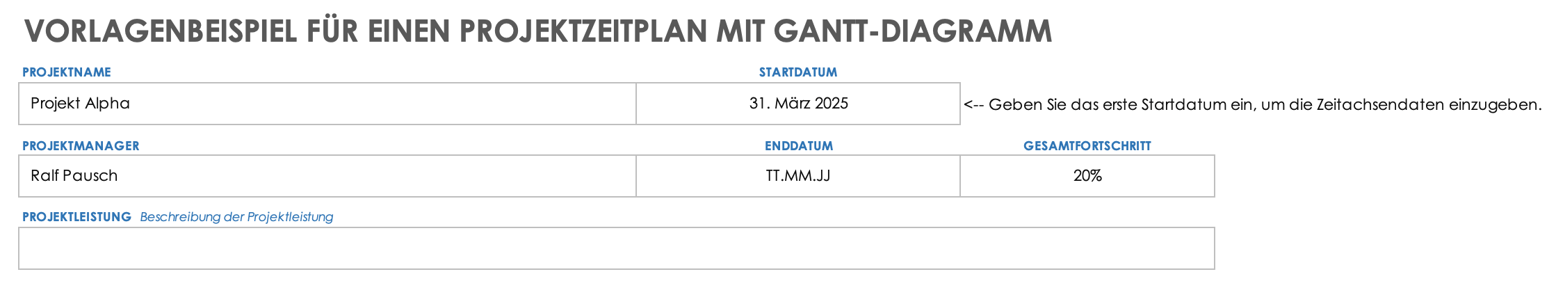 Grundlegende Details zum Projektplan in Excel