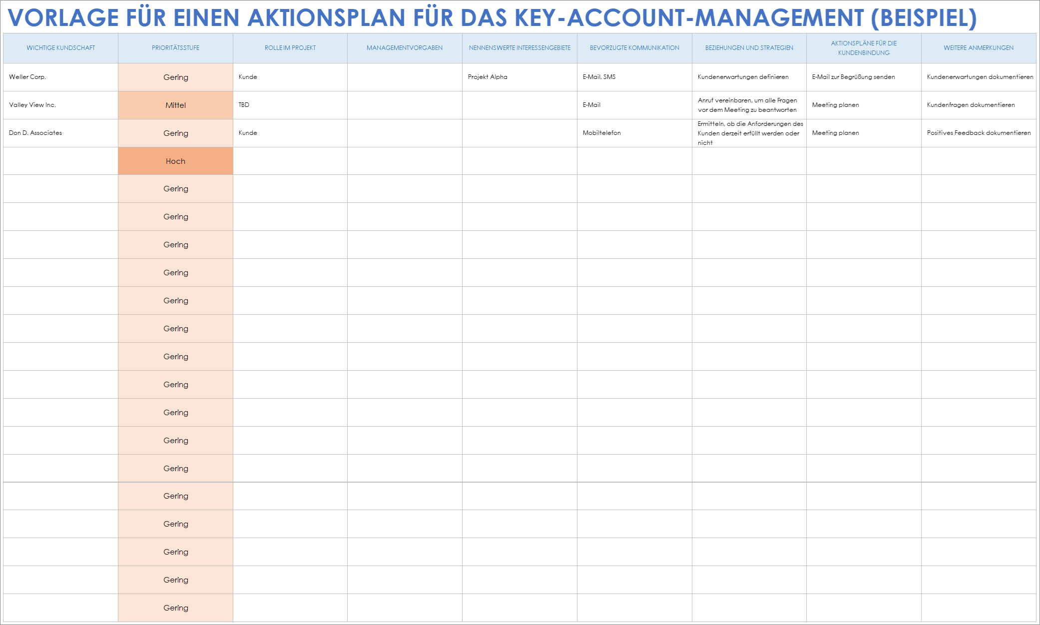  Beispiel für einen Key Account Management Aktionsplan