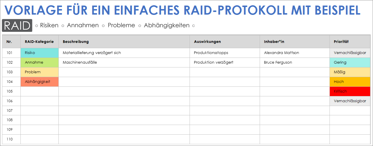  Beispielvorlage für ein einfaches RAID-Protokoll