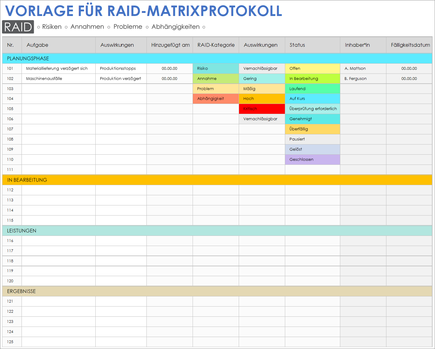  RAID-Matrix-Protokollvorlage