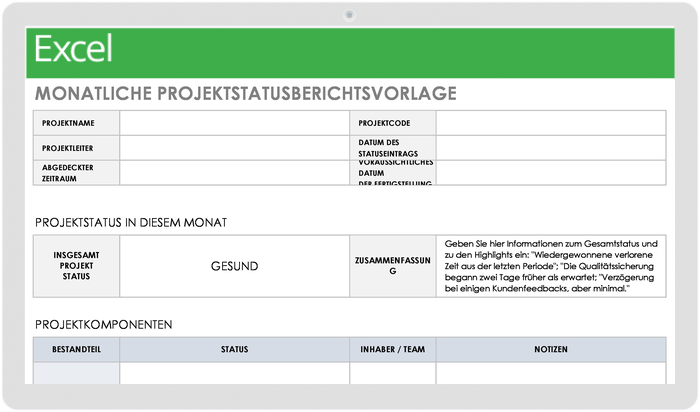 Vorlage für einen monatlichen Projektstatusbericht