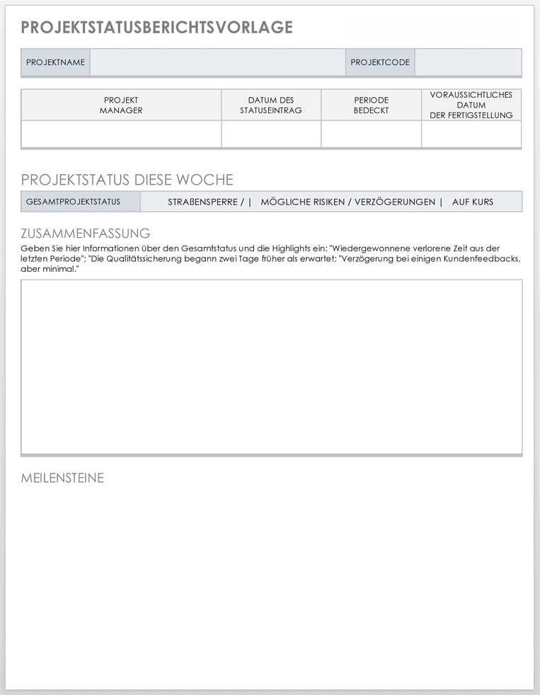 Vorlage für einen Projektstatusbericht