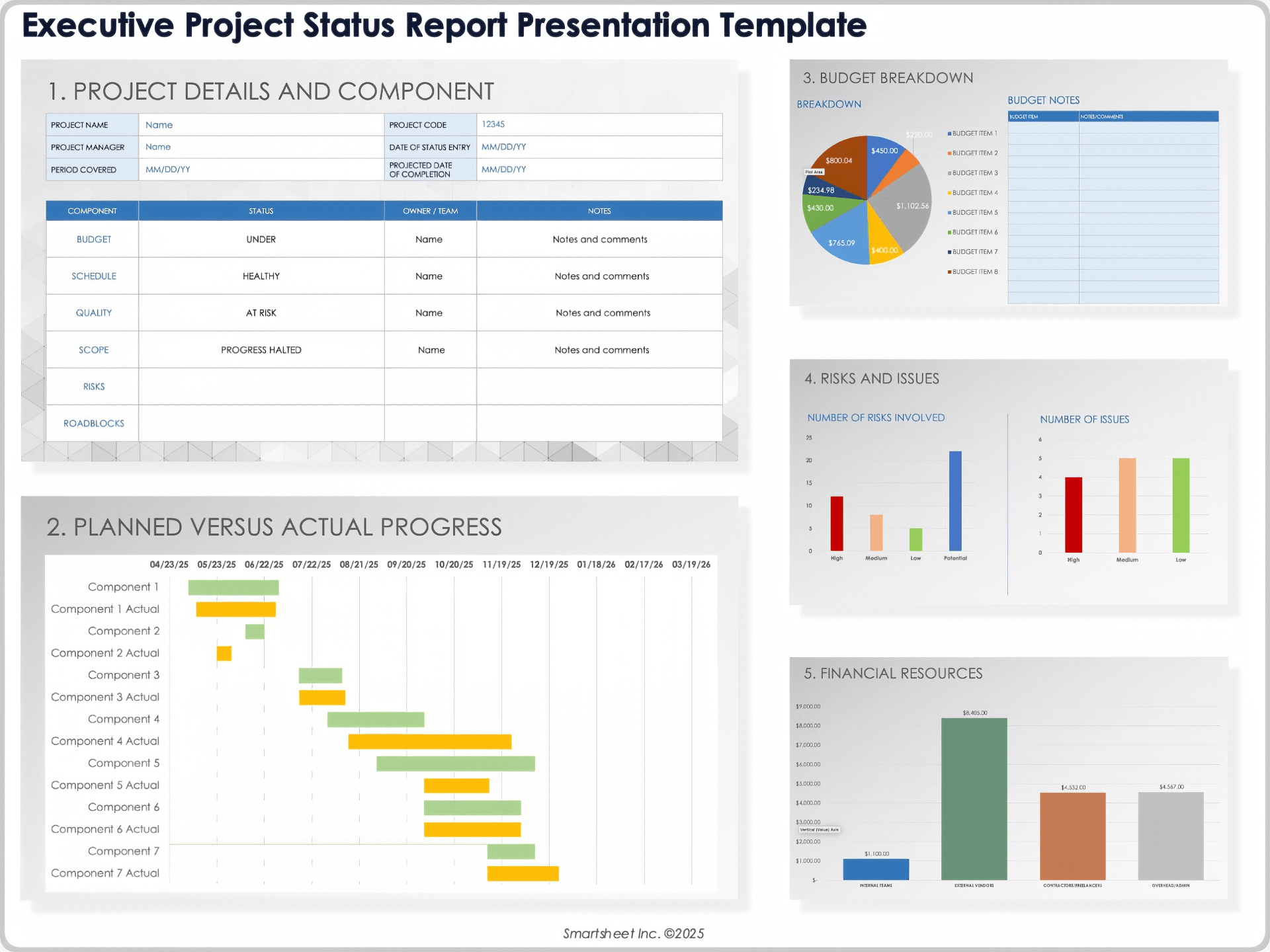 Vorlage für die Präsentation eines Executive-Projektstatusberichts