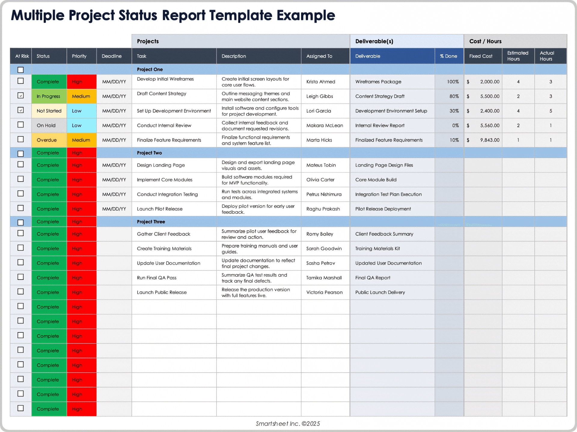 Beispiel für eine Vorlage für mehrere Projektstatusberichte