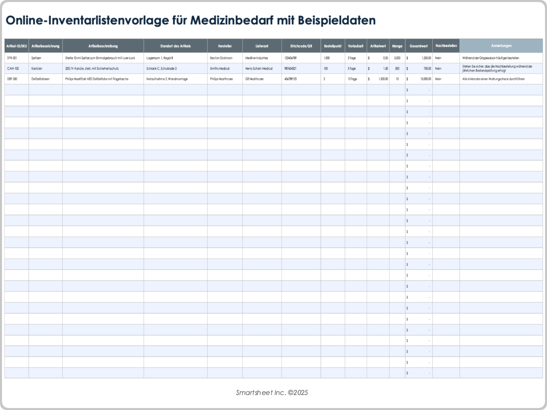 Online-Inventarlistenvorlage für Medizinbedarf mit Beispieldaten