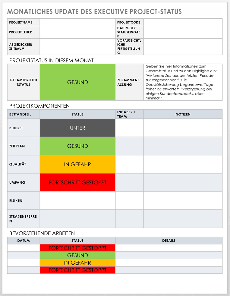 Monthly Executive Project Status Update 49475 - DE