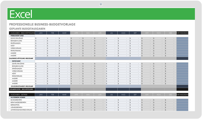 Professionelle Business-Budget-Vorlage