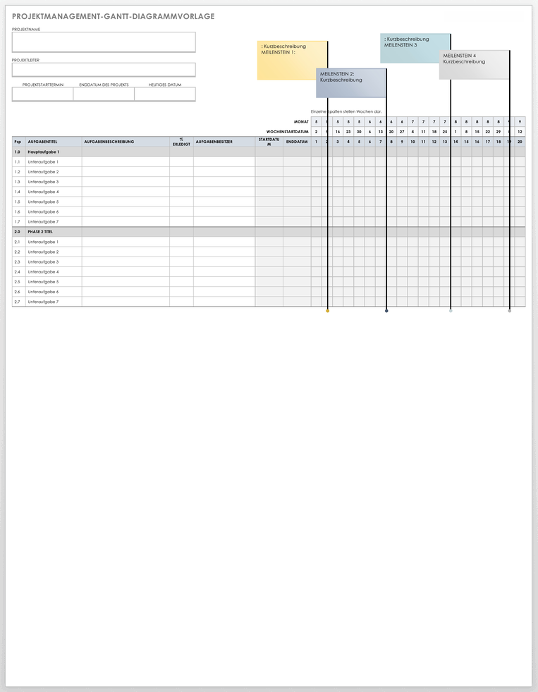 Project Management Gantt Chart Template 49489 - DE