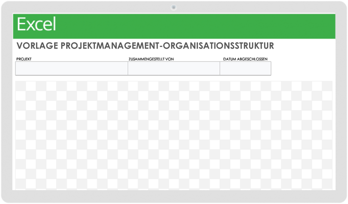 Project Management Organizational Structure 49511 - DE