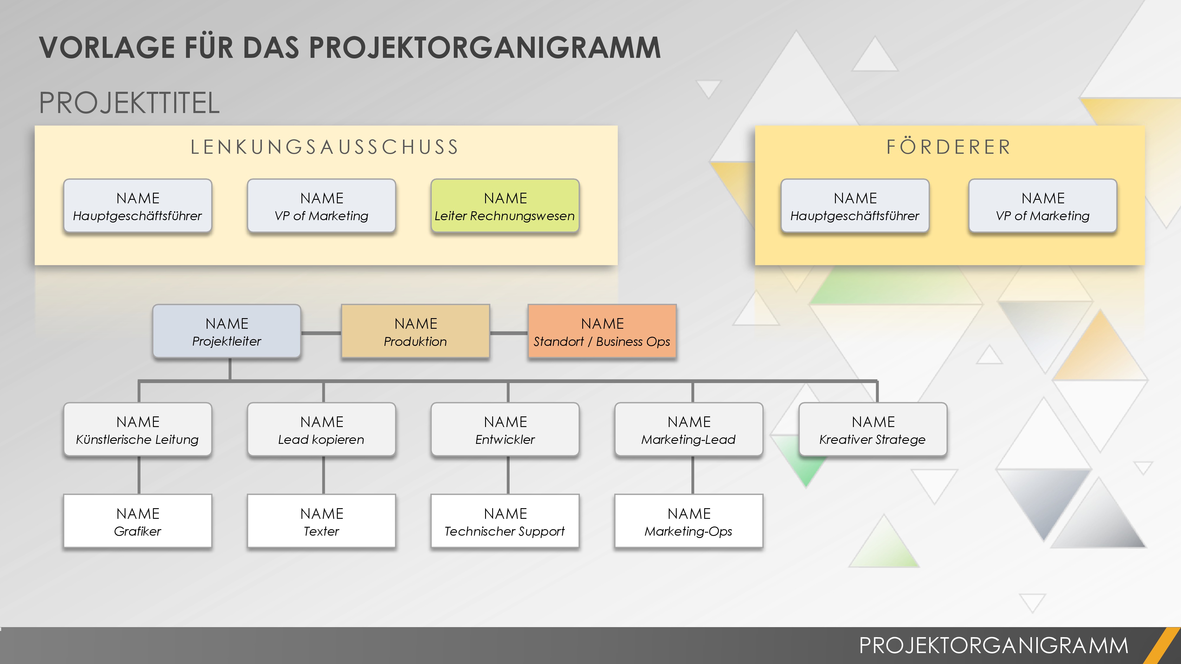 Project Organization Chart PPT 49511 - DE