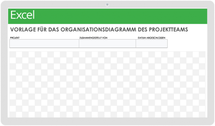 Project Team Organizational Chart 49511 - DE