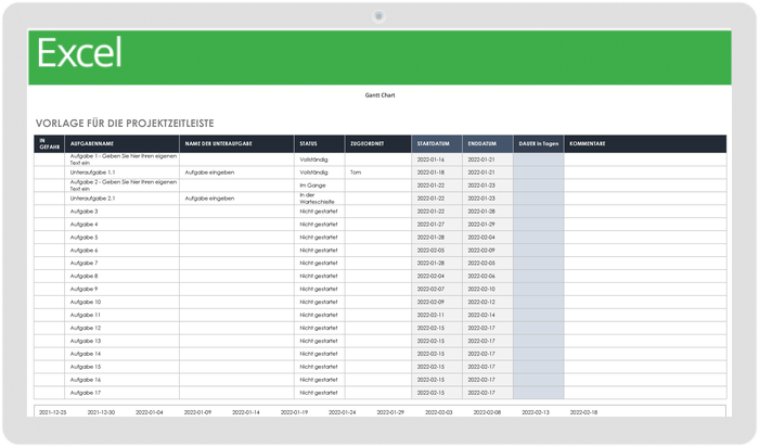 Project Timeline - DE